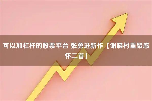 可以加杠杆的股票平台 张勇进新作【谢鞋村重聚感怀二首】