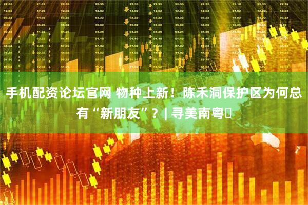 手机配资论坛官网 物种上新！陈禾洞保护区为何总有“新朋友”？| 寻美南粤⑰