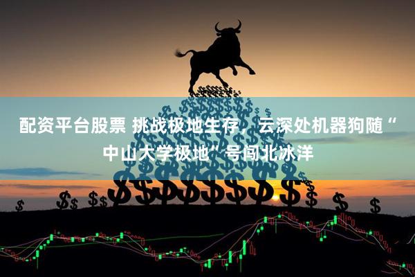 配资平台股票 挑战极地生存，云深处机器狗随“中山大学极地”号闯北冰洋