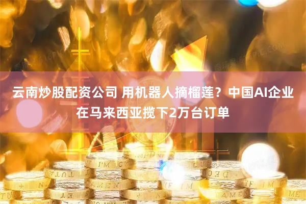 云南炒股配资公司 用机器人摘榴莲？中国AI企业在马来西亚揽下2万台订单