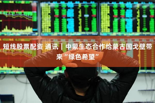 短线股票配资 通讯｜中蒙生态合作给蒙古国戈壁带来“绿色希望”